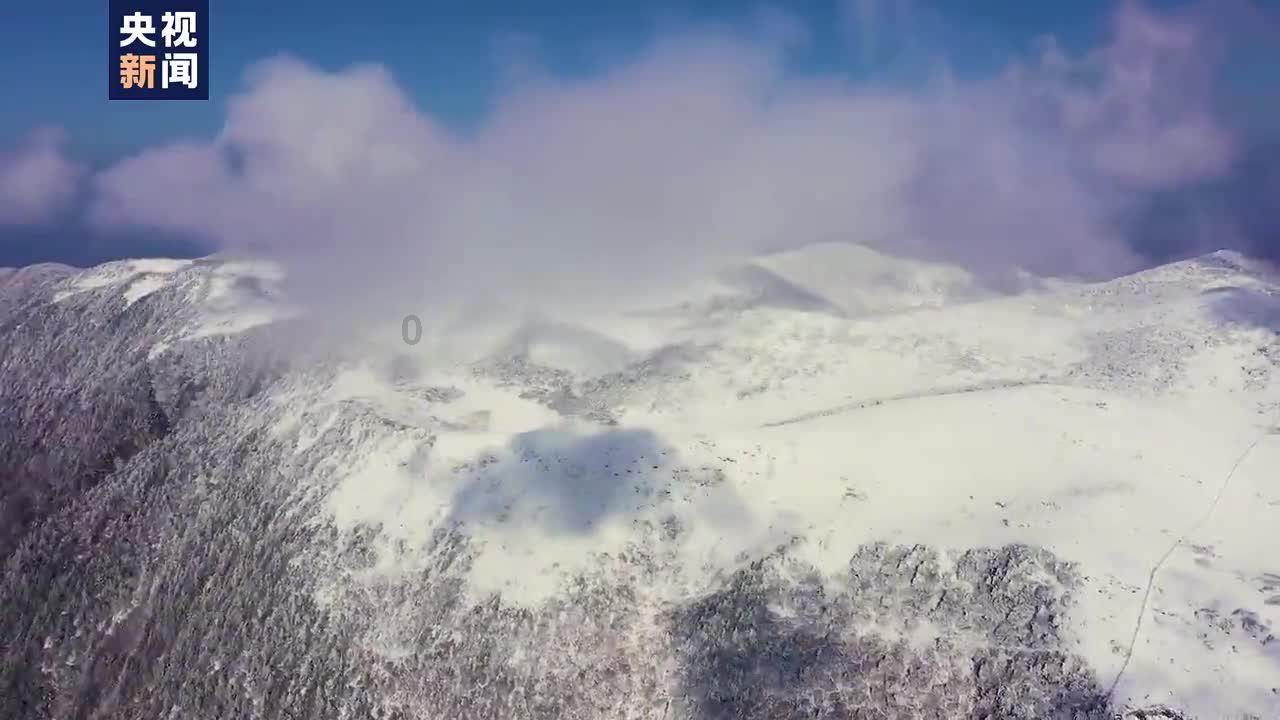狂丧之尸9