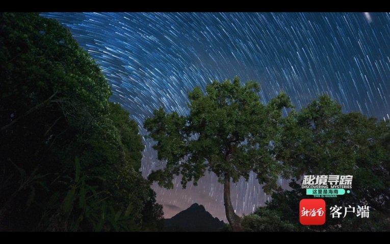 人类：一败涂地