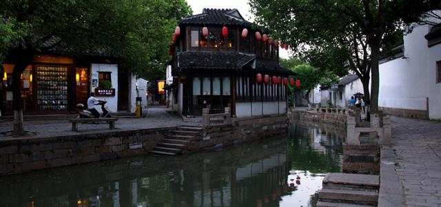 破碎的动物图形